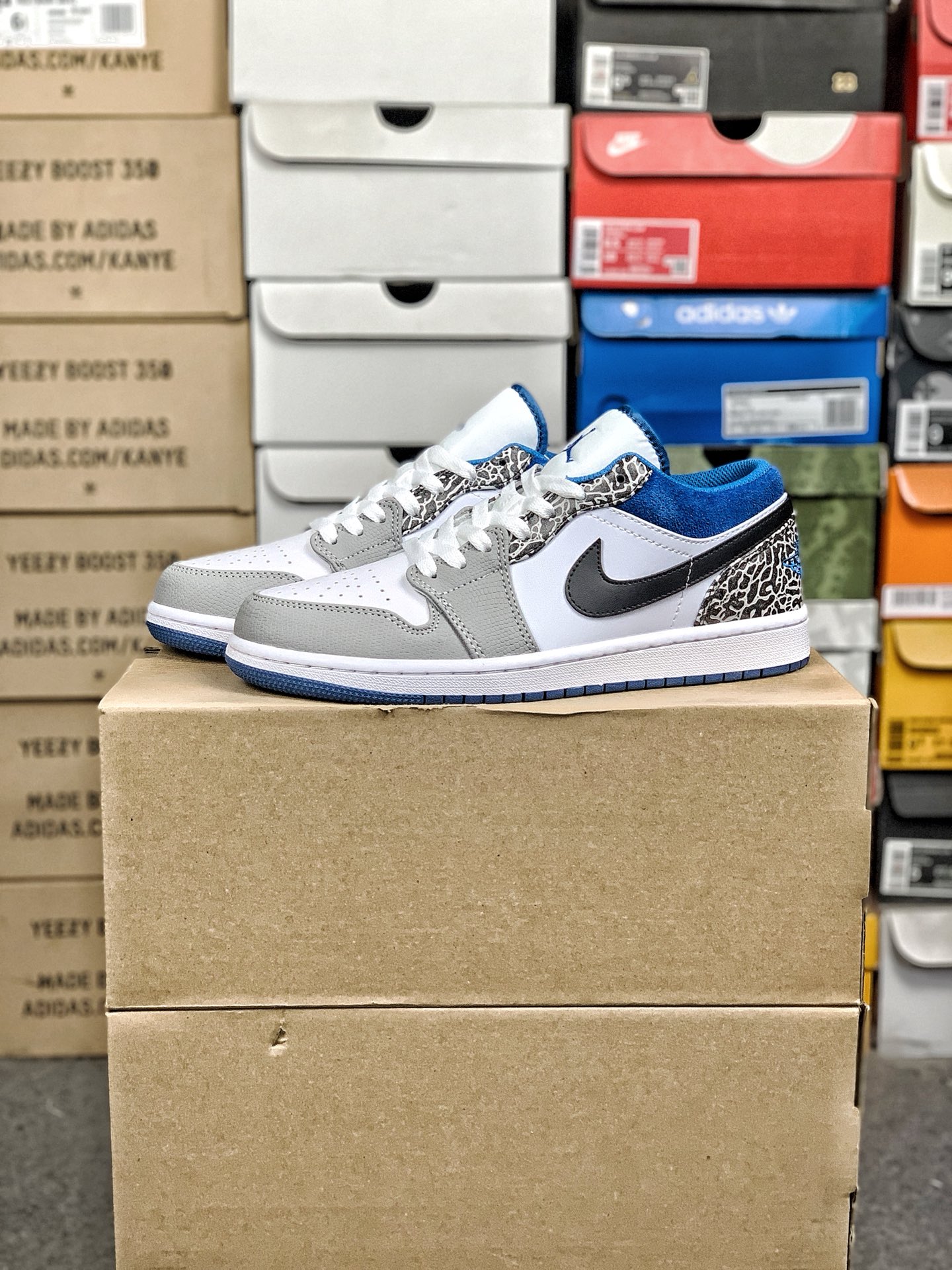 Nike Jordan shoe